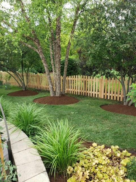 317 Sterling Circle Cary, IL 60013 - Photo 44 of 47 a view of a yard with large trees