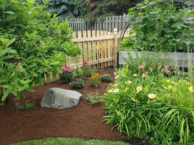 317 Sterling Circle Cary, IL 60013 - Photo 45 of 47 a view of a backyard with plants