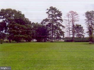 Lot 1 Annie Hyland Road Princess Anne, MD 21853 - Photo 4 of 4