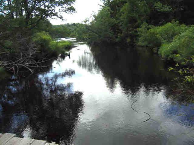 85 Beaver Hill Road Otis, MA 01253 - Photo 4 of 4 a view of a lake from a yard