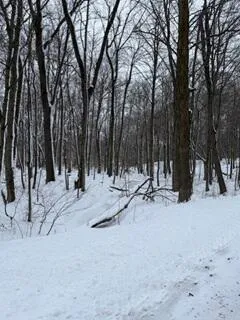 $809,000 | 773 39th Street, Allegan, MI 49010