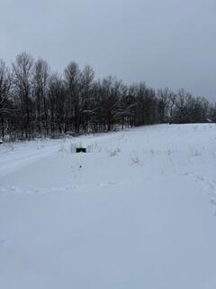 773 39th Street Allegan, MI 49010 - Photo 3 of 14 4