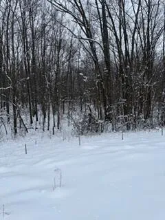 $809,000 | 773 39th Street, Allegan, MI 49010