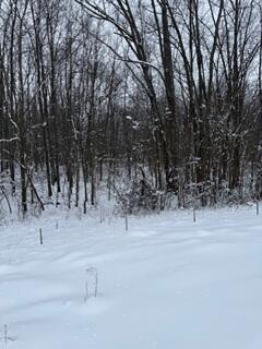 773 39th Street Allegan, MI 49010 - Photo 5 of 14 6