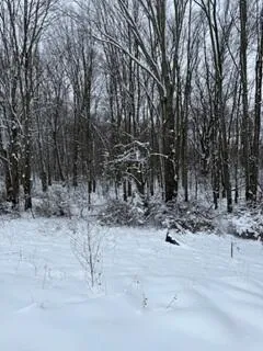 $809,000 | 773 39th Street, Allegan, MI 49010