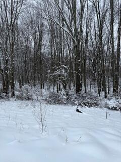 773 39th Street Allegan, MI 49010 - Photo 6 of 14 7