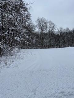 773 39th Street Allegan, MI 49010 - Photo 9 of 14 10