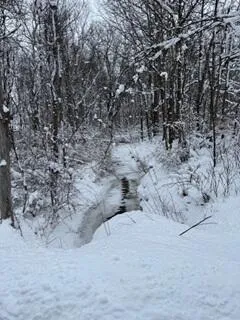 $809,000 | 773 39th Street, Allegan, MI 49010