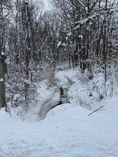 773 39th Street Allegan, MI 49010 - Photo 10 of 14 11