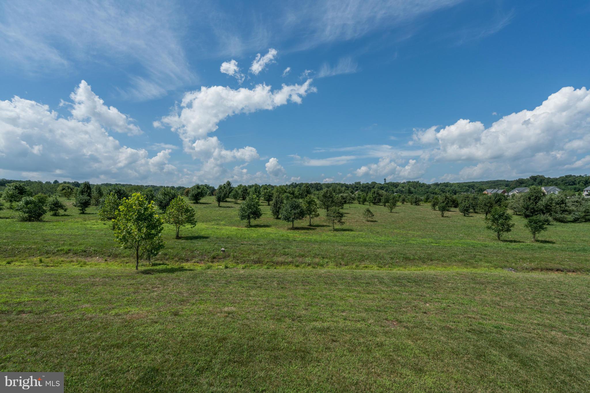 19574 Rothbury Lane Leesburg, VA 20175 - Photo 6 of 30 View