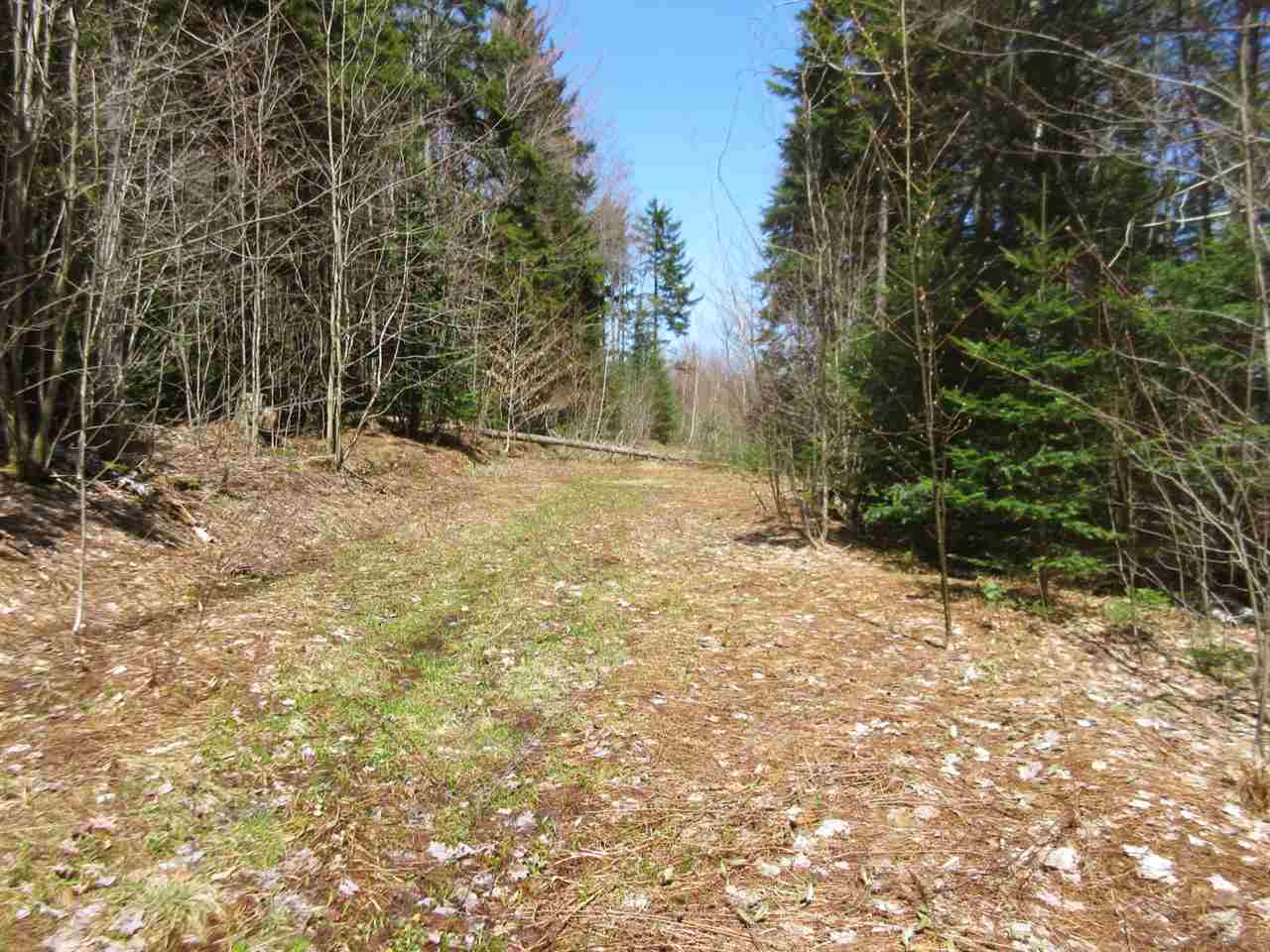 - Snyder Brook Road, Unit 18 Westfield, VT 05874 - Photo 1 of 10