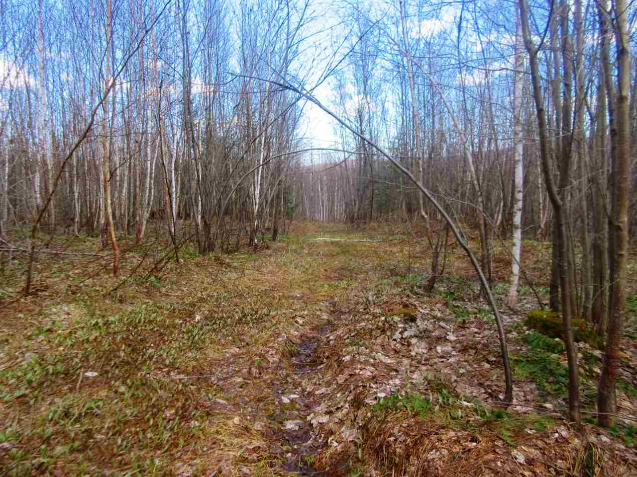 - Snyder Brook Road, Unit 18 Westfield, VT 05874 - Photo 3 of 10