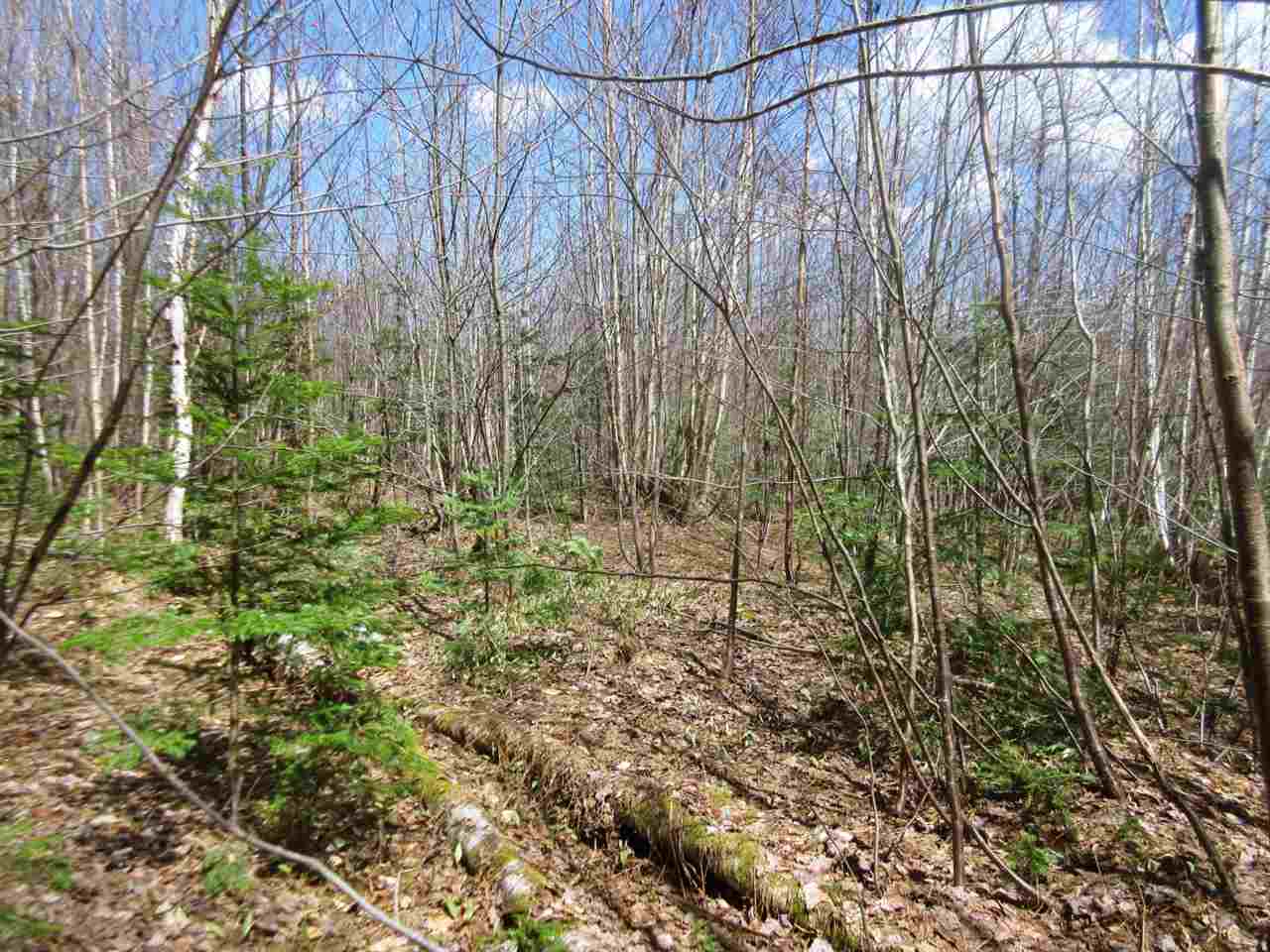 - Snyder Brook Road, Unit 18 Westfield, VT 05874 - Photo 4 of 10