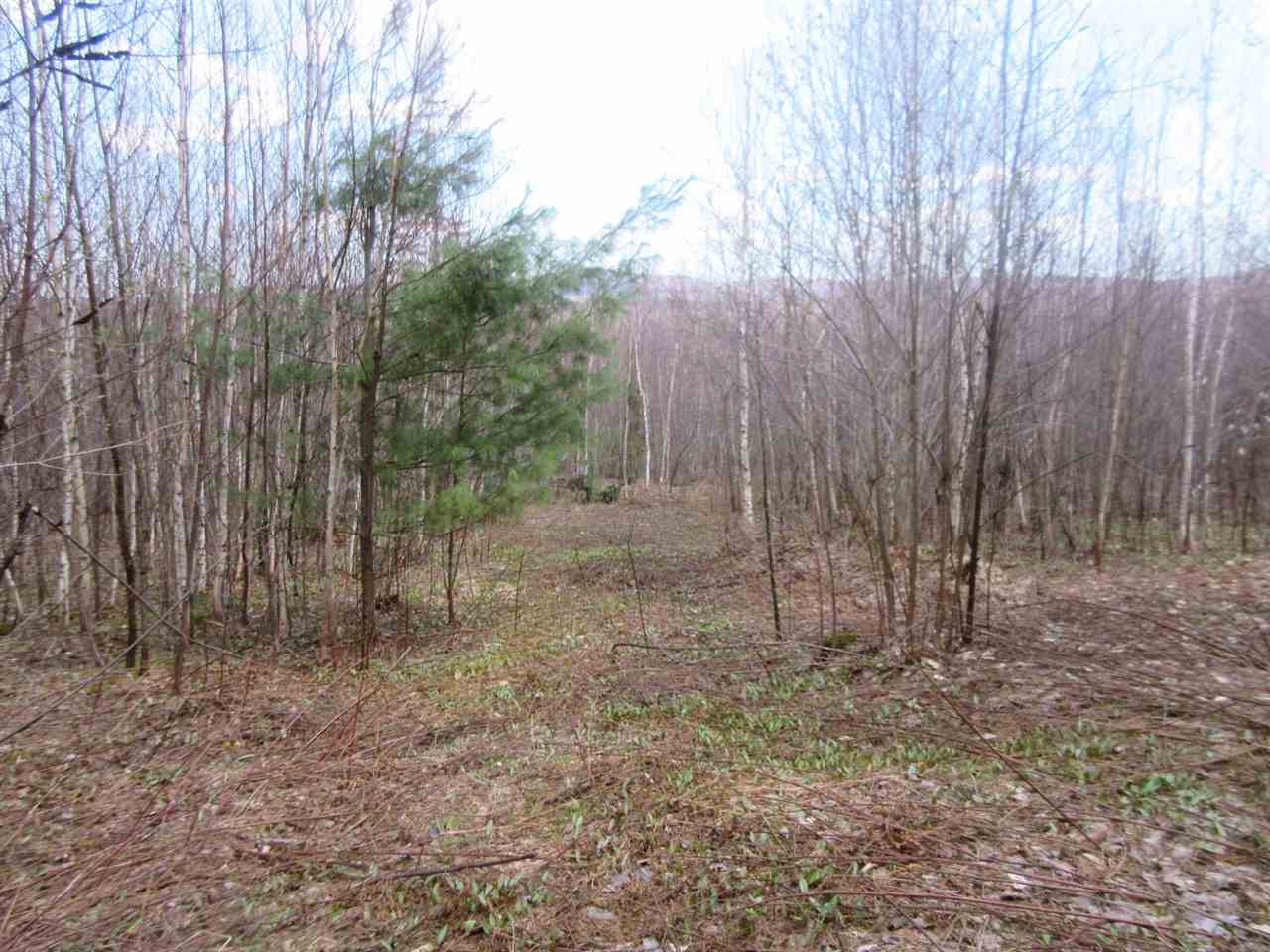 - Snyder Brook Road, Unit 18 Westfield, VT 05874 - Photo 6 of 10