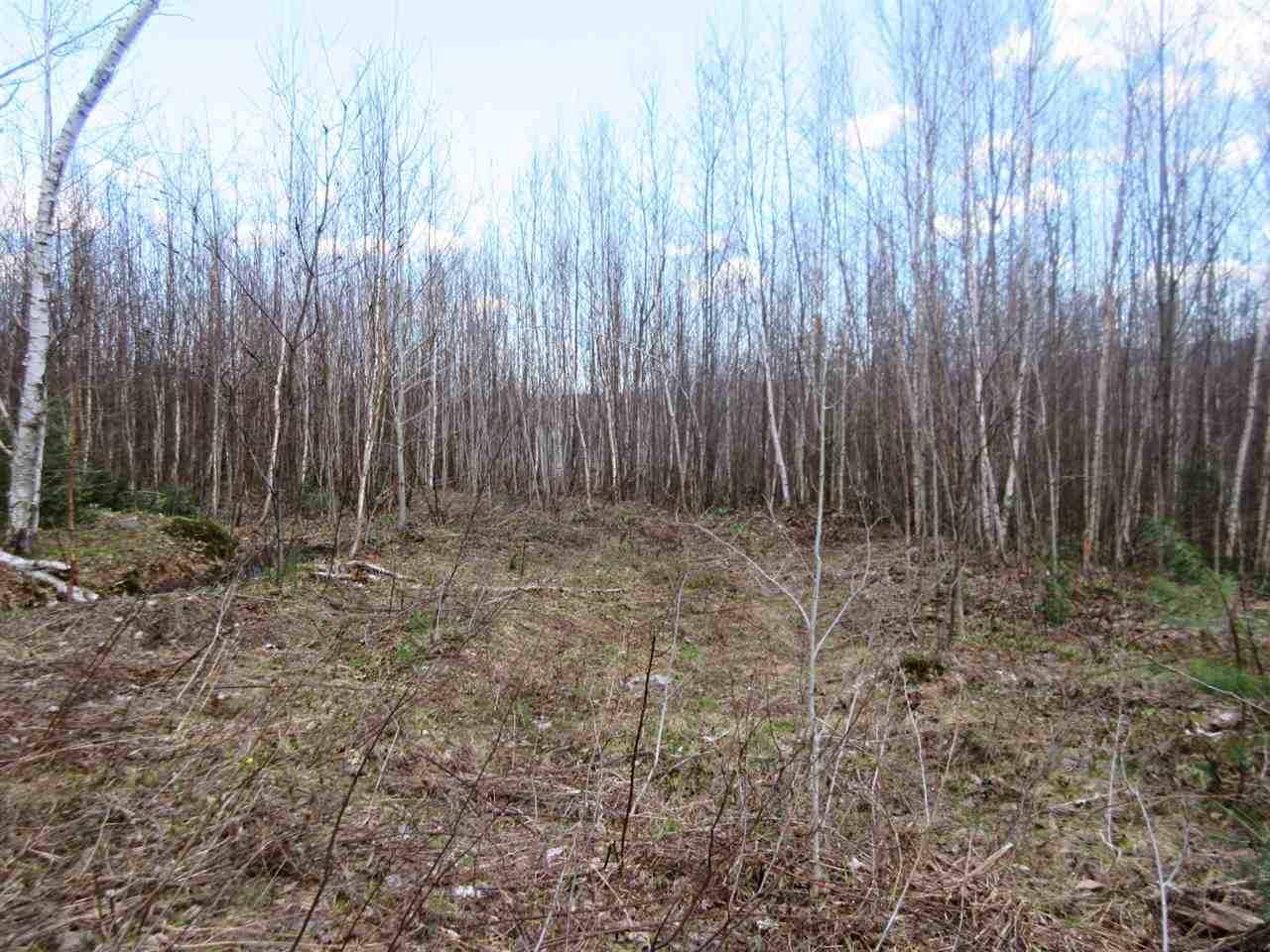 - Snyder Brook Road, Unit 18 Westfield, VT 05874 - Photo 7 of 10