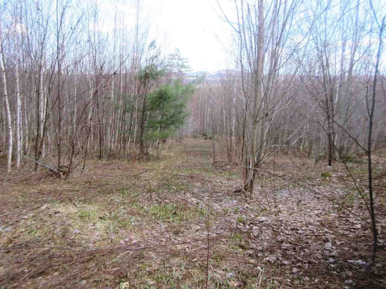 - Snyder Brook Road, Unit 18 Westfield, VT 05874 - Photo 8 of 10