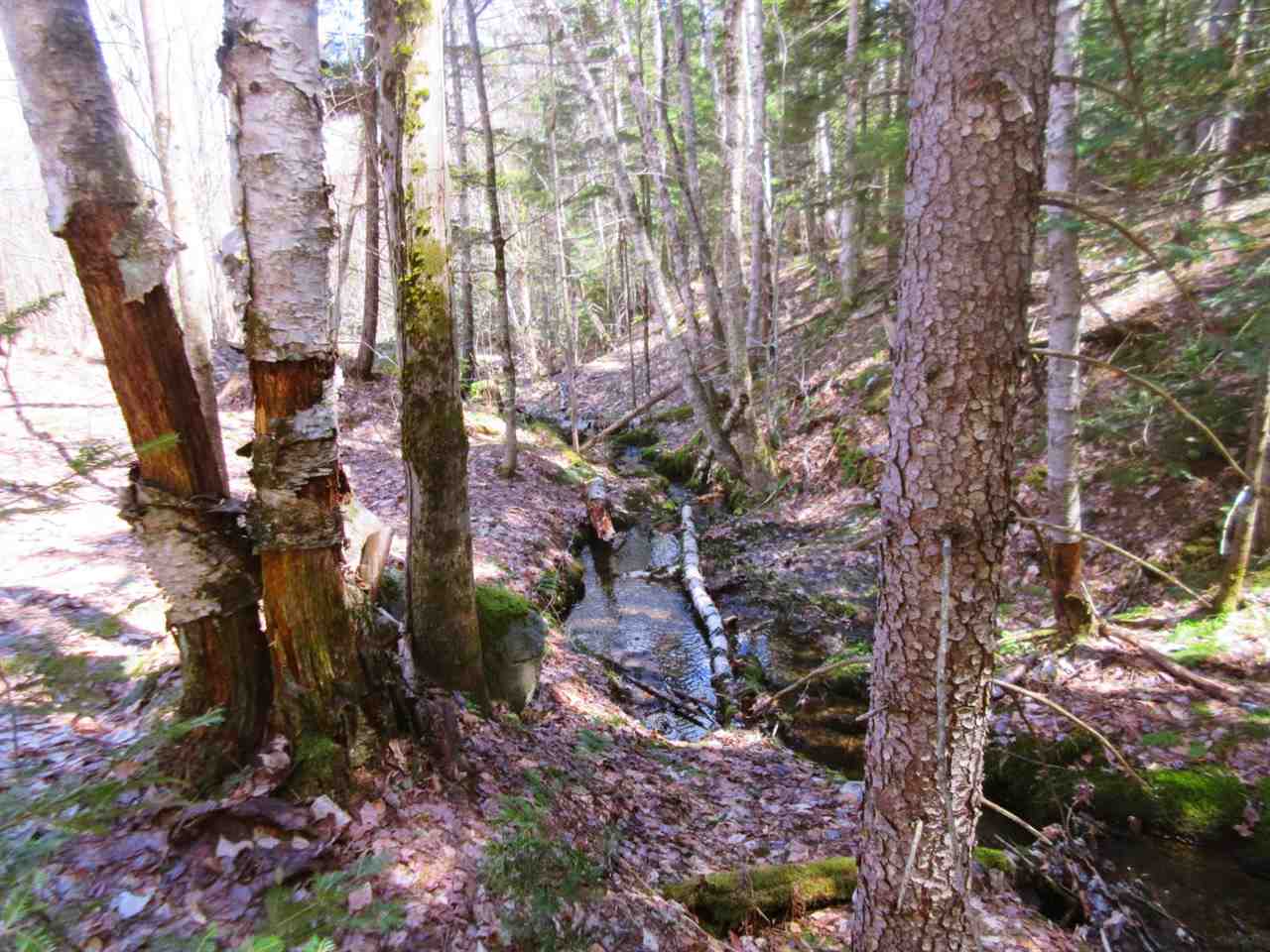 - Snyder Brook Road, Unit 18 Westfield, VT 05874 - Photo 9 of 10