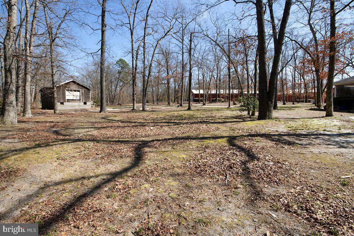232 Erial Road Sicklerville, NJ 08081 - Photo 80 of 97 +/- 30 Acres of Preserved Farm land