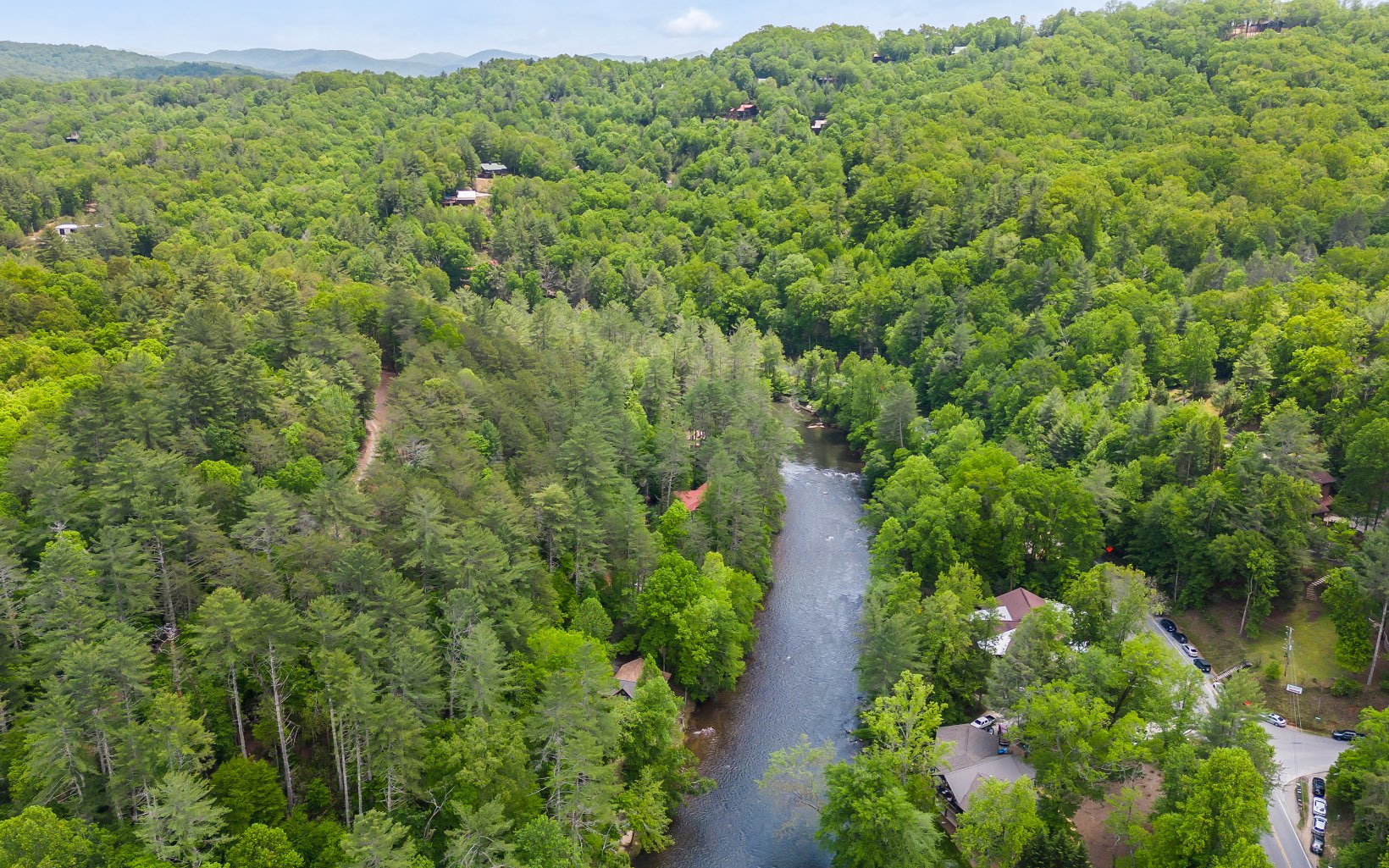 285 Shallowford Bridge Lane Blue Ridge, GA 30513 - Photo 60 of 66 a view of a lush green forest with lots of trees
