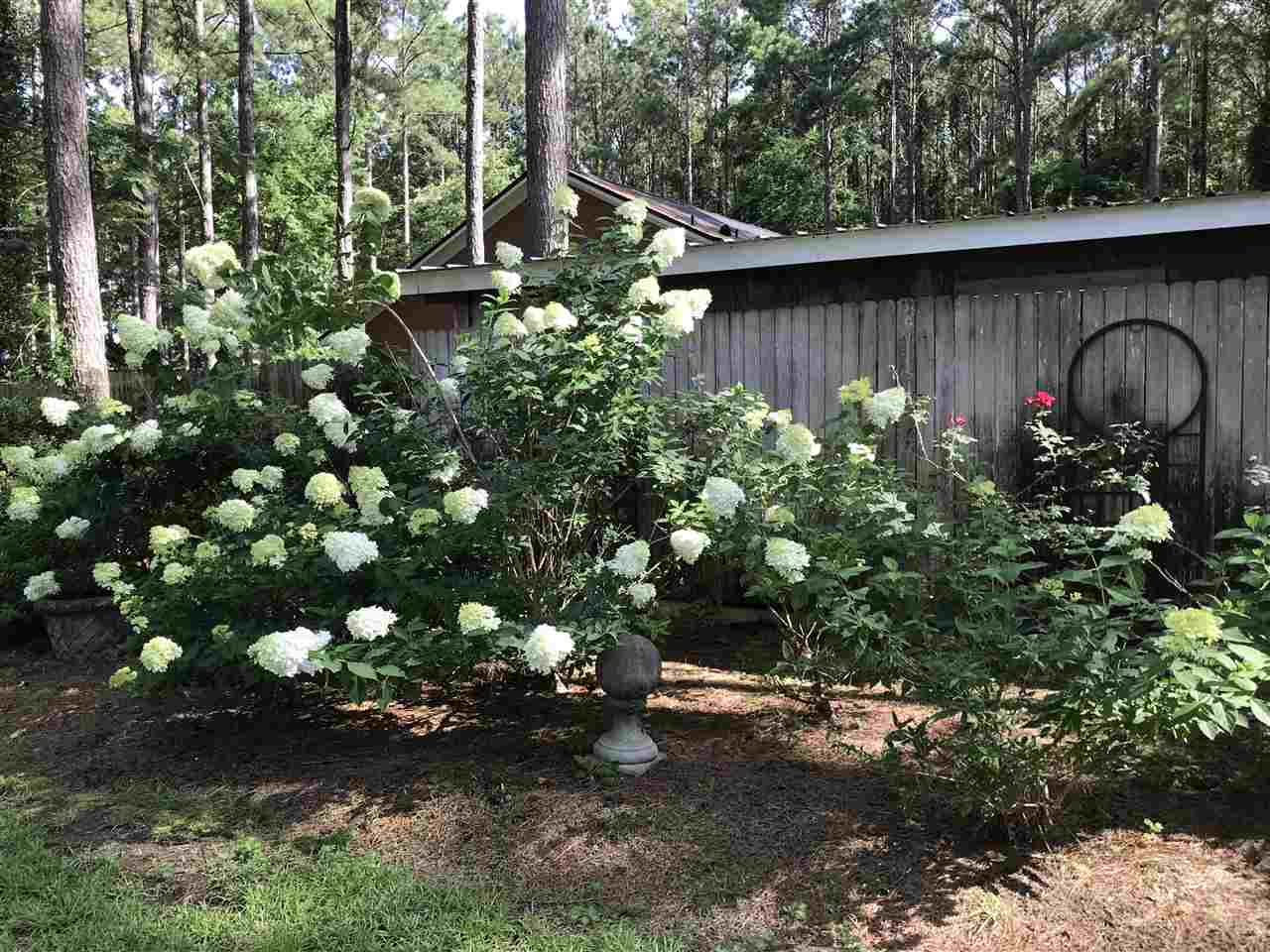 399 Scotland Road Havana, FL 32333 - Photo 23 of 36 Gallery Image 23