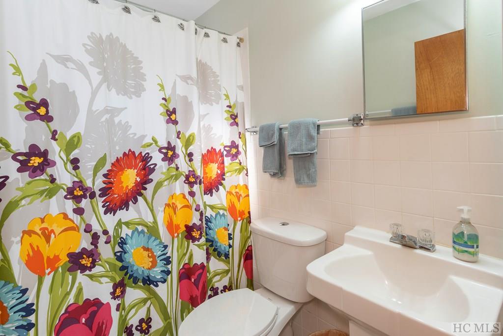 353 Silver Run Road Cashiers, NC 28717 - Photo 17 of 24 Gallery Image 17