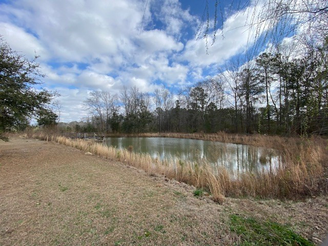 266 Wesley Grove Road Cordova, SC 29039 - Photo 7 of 13 Photo 7