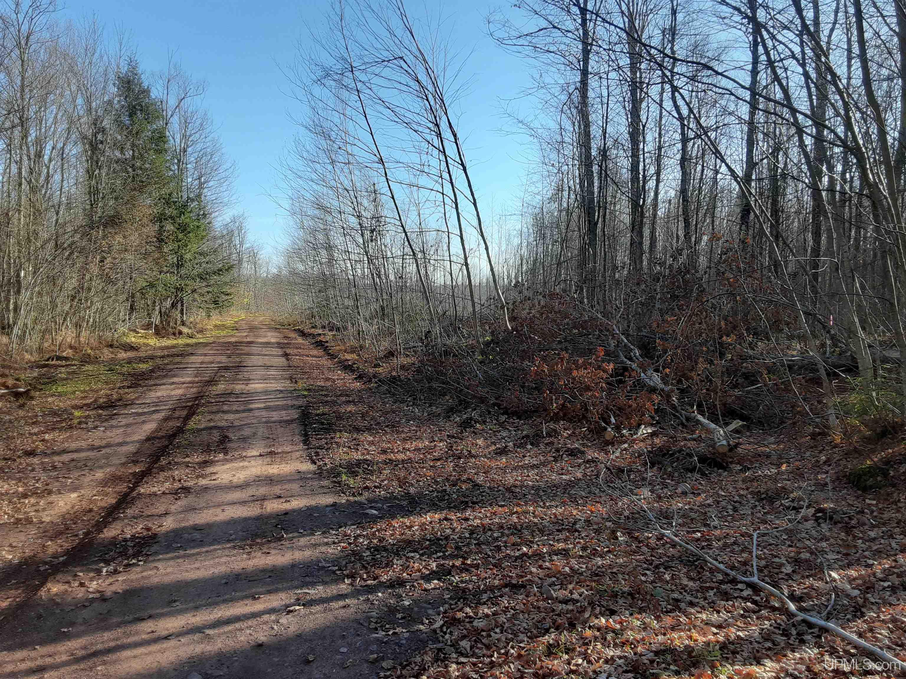 Tbd Tbd Off Sand Island Road Wakefield, MI 49968 - Photo 3 of 8