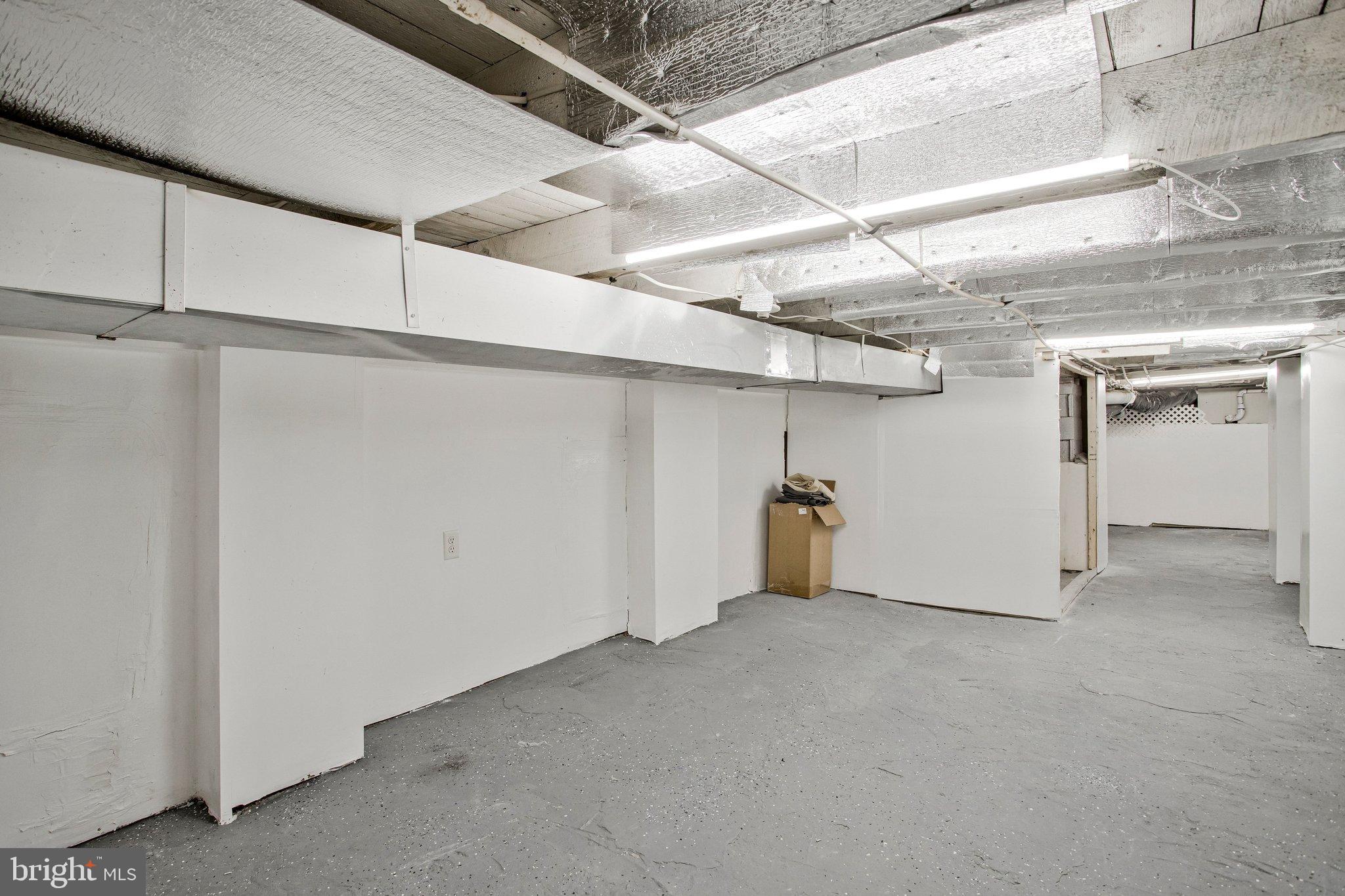 1102 Carroll Street Baltimore, MD 21230 - Photo 44 of 52 Spacious, versatile basement ready for ideas.