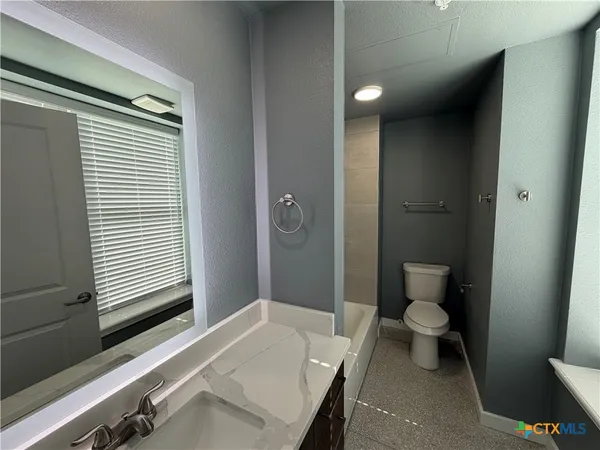 a bathroom with a sink and a toilet