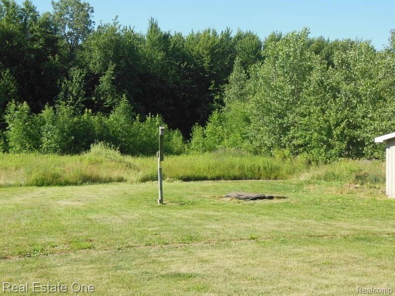 11421 Odell Road Fowlerville, MI 48836 - Photo 13 of 43