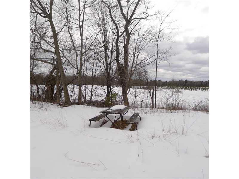 461 Sandy River Road Mercer, ME 04957 - Photo 3 of 7 Land/Lot.