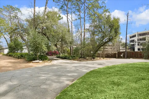 a view of road with large trees