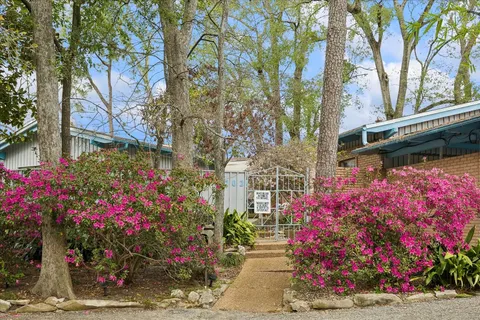 a view of street with flower plants