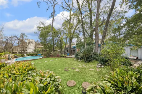 a view of a yard with plants and large trees