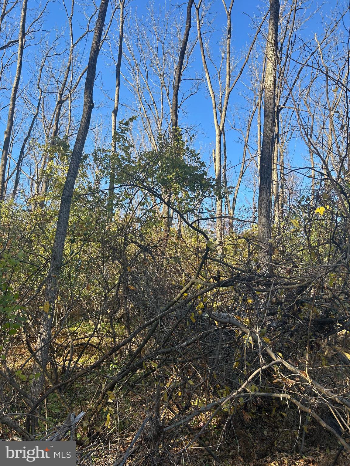 Heidel Road Robesonia, PA 19551 - Photo 15 of 16 a backyard of a house