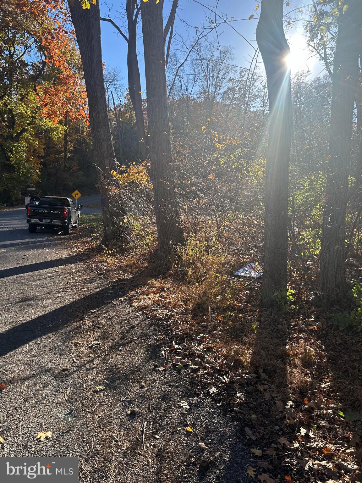 Heidel Road Robesonia, PA 19551 - Photo 16 of 16 a view of a yard with plants and large trees