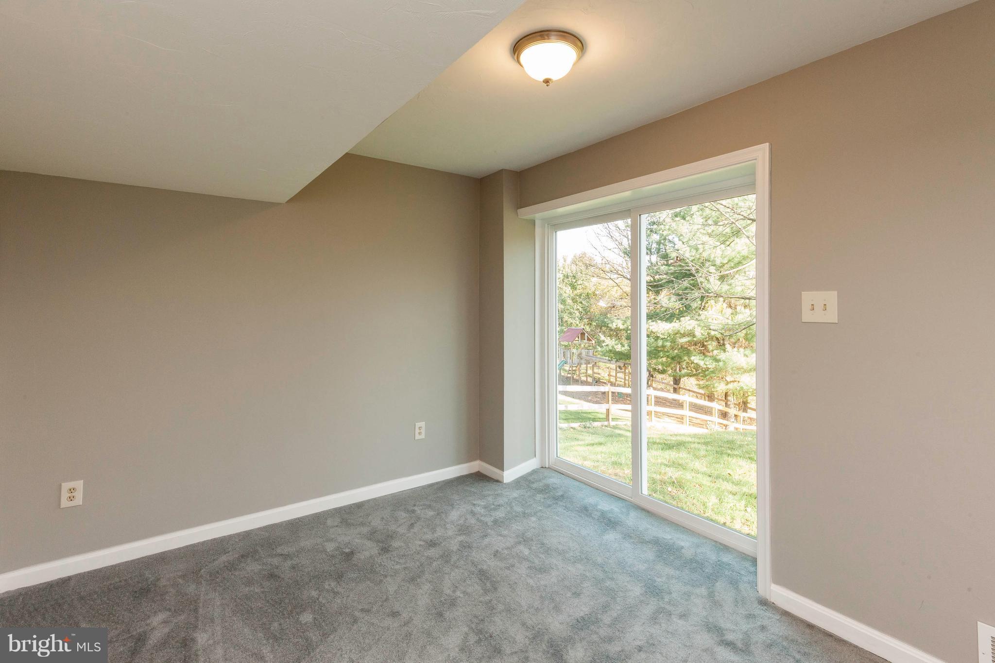 1001 Horizon Road Mount Airy, MD 21771 - Photo 22 of 30 Basement