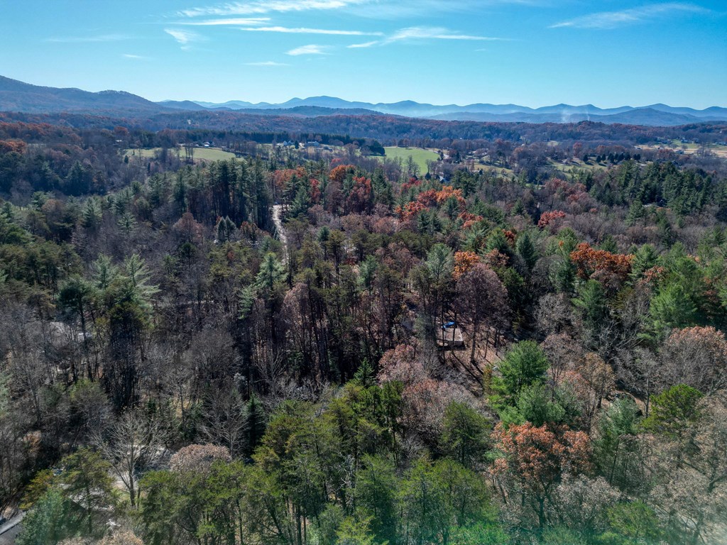 518 Rizzitello Lane Blairsville, GA 30512 - Photo 43 of 44