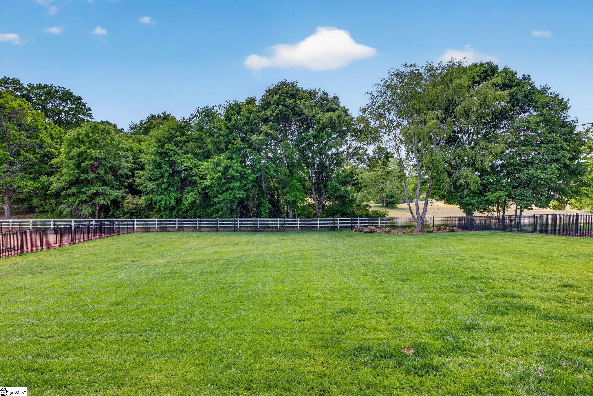 416 Plevin Way Pelzer, SC 29669 - Photo 42 of 50