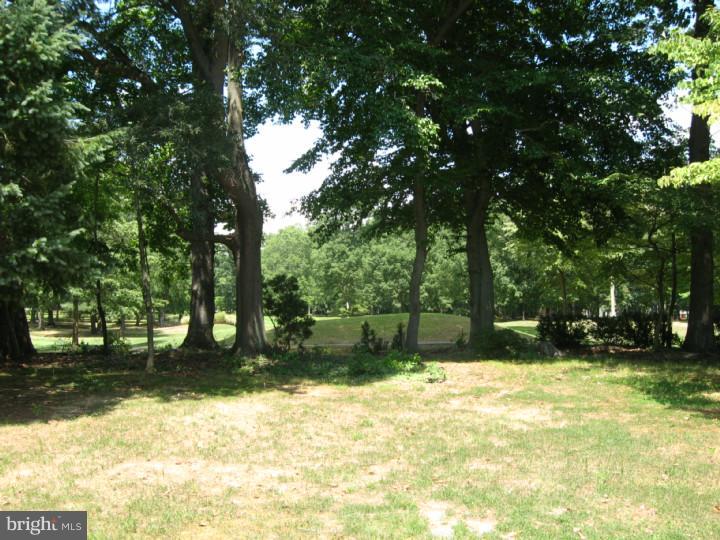 35 Winged Foot Road Dover, DE 19904 - Photo 23 of 25 Back Yard