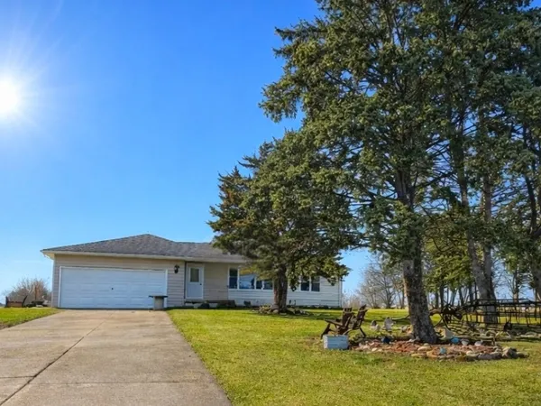 a view of a yard with plants