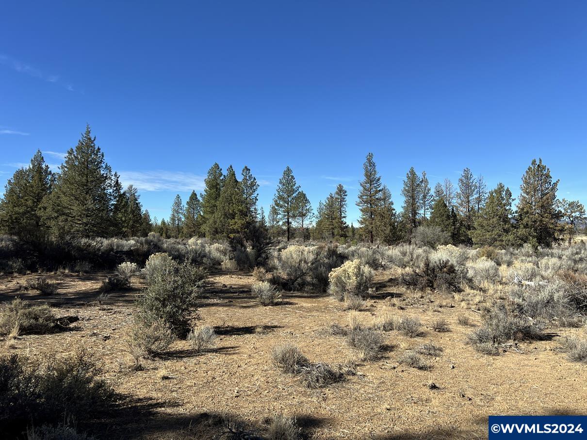 600 Oregon Pines Road Chiloquin, OR 97624 - Photo 27 of 49