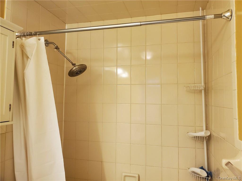 315 Washington Avenue, Unit 1 New Rochelle, NY 10801 - Photo 21 of 29 a bathroom that has a shower