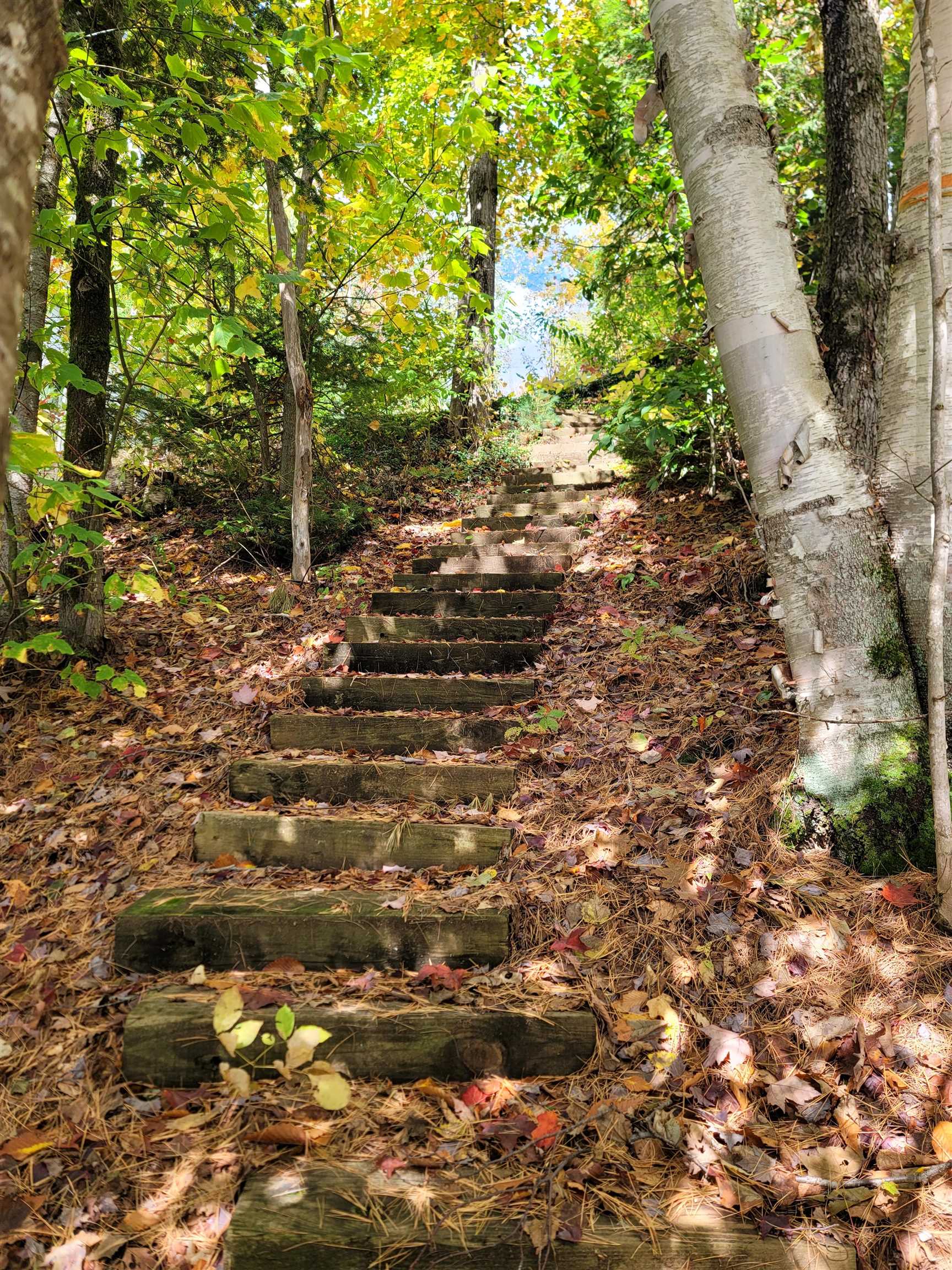 39 Barrows Loop Road Eden, VT 05653 - Photo 15 of 17