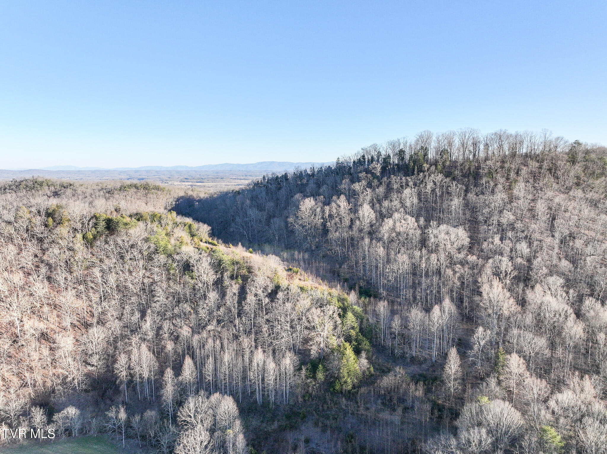 0 Gap Creek Road Bulls Gap, TN 37711 - Photo 19 of 30 DJI_20260213172927_0833_D