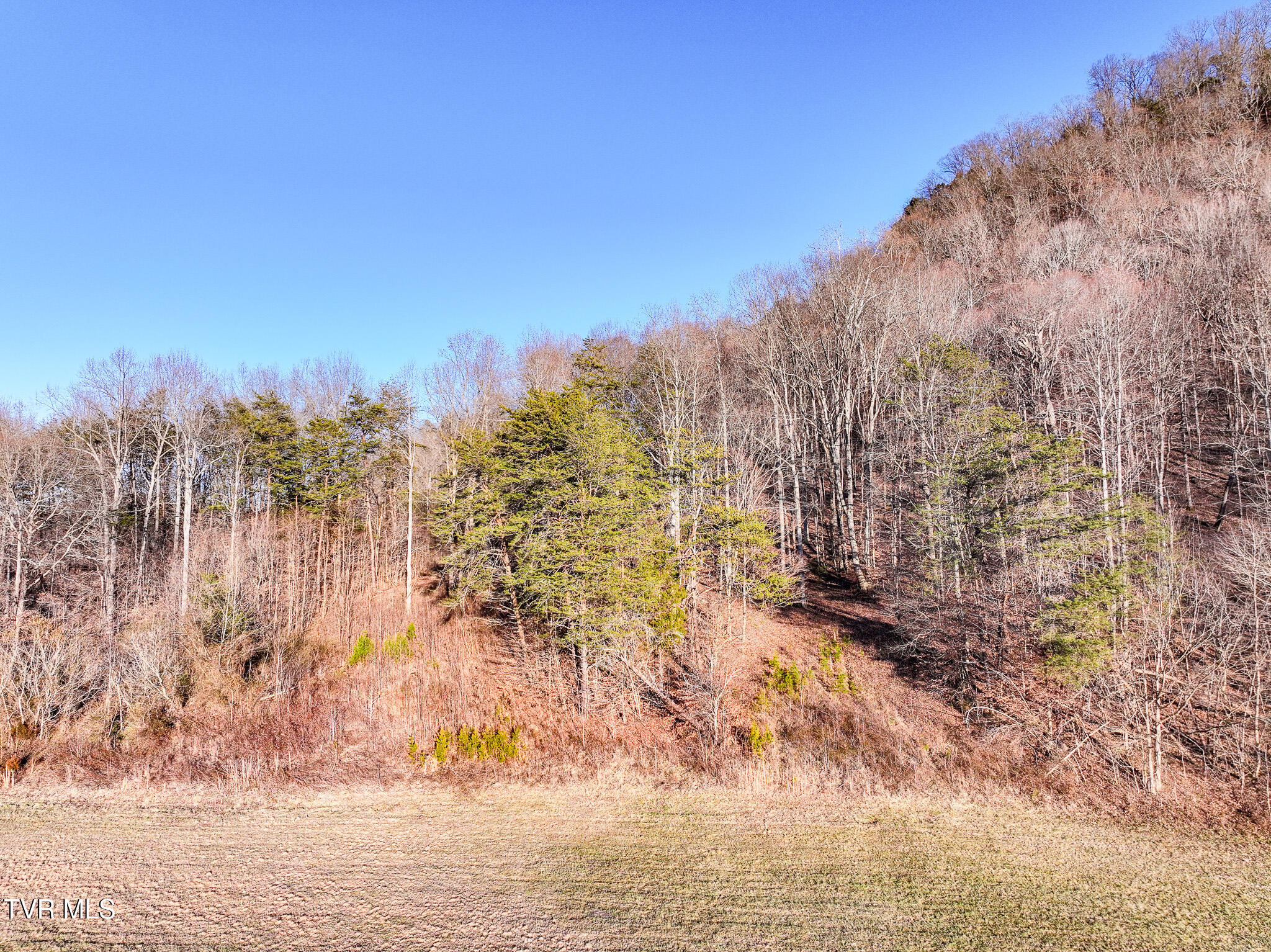 0 Gap Creek Road Bulls Gap, TN 37711 - Photo 21 of 30 DJI_20260213173109_0841_D