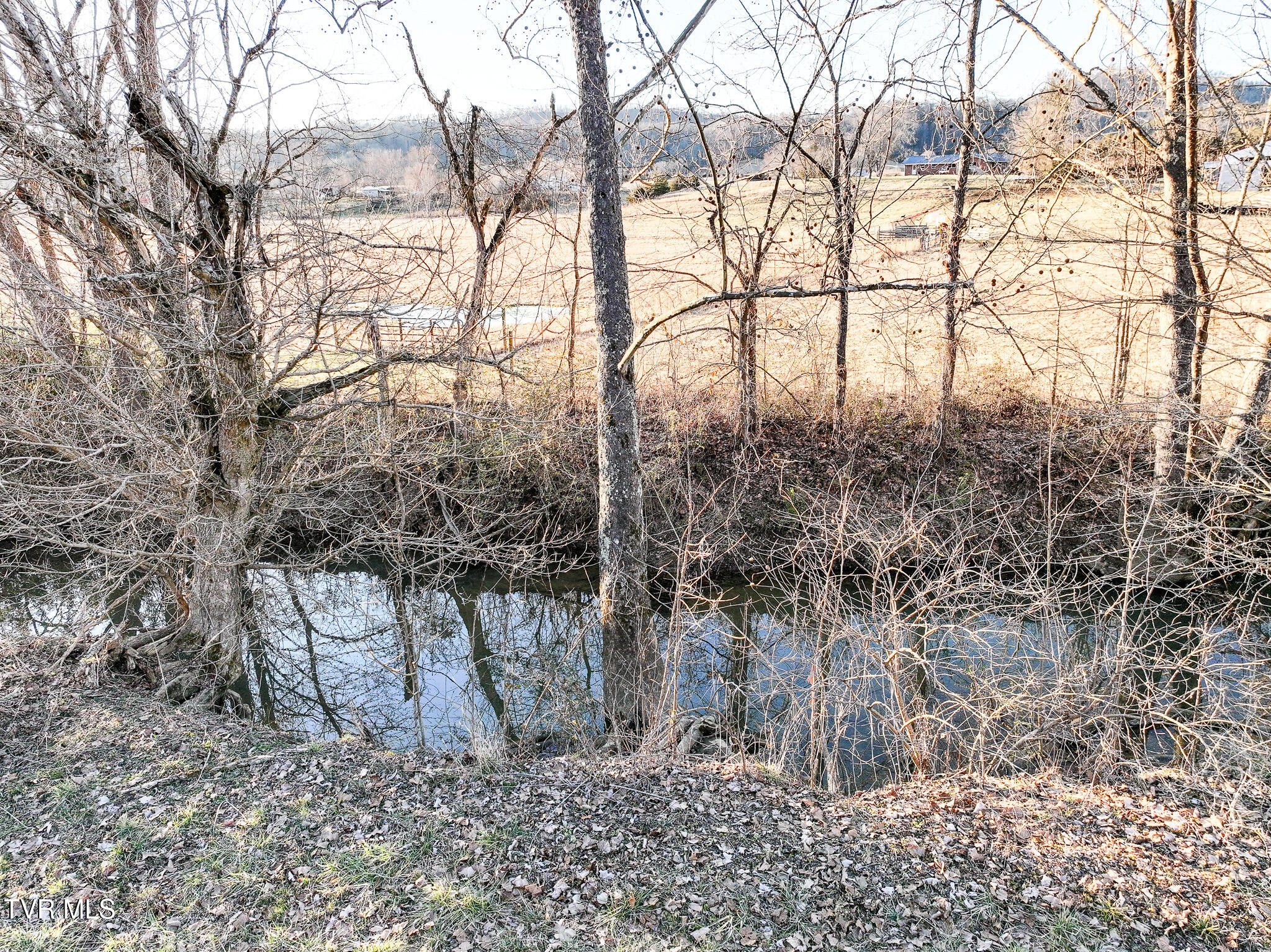 0 Gap Creek Road Bulls Gap, TN 37711 - Photo 23 of 30 DJI_20260213173247_0848_D