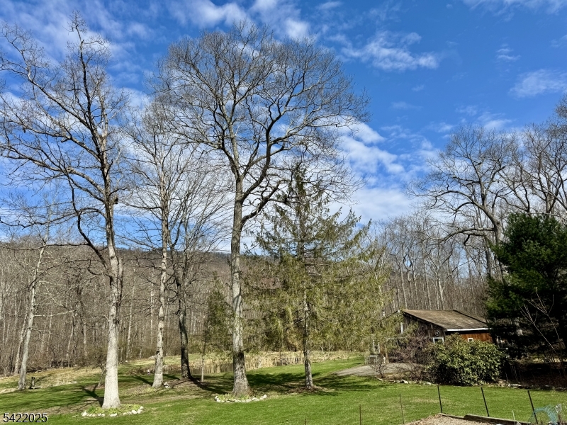 202 Millbrook Road Blairstown, NJ 07825 - Photo 6 of 32