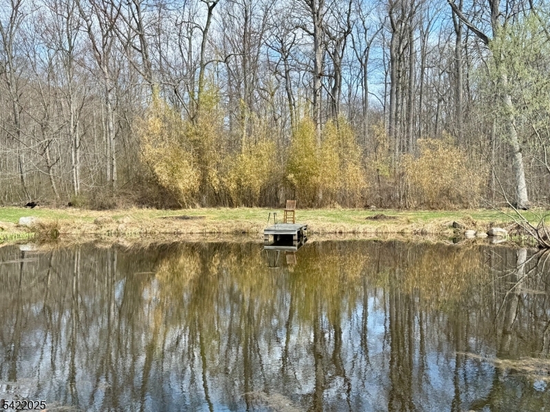 202 Millbrook Road Blairstown, NJ 07825 - Photo 8 of 32