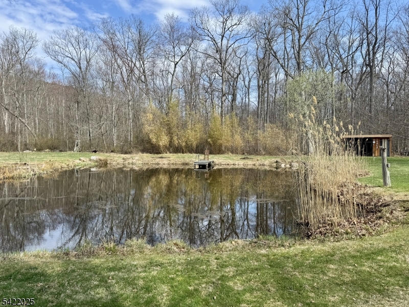 202 Millbrook Road Blairstown, NJ 07825 - Photo 9 of 32